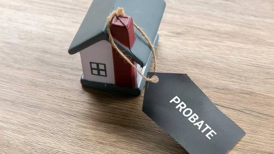 Small toy wooden house with a probate tag on it